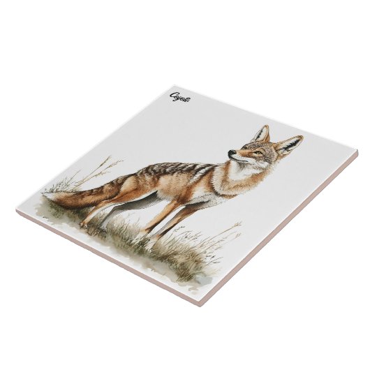 Coyote Fliese (Seite)