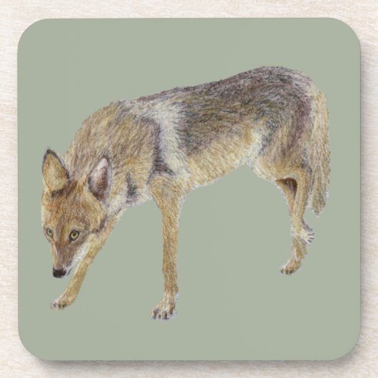 Coyote Getränkeuntersetzer (Vorderseite)