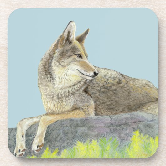 Coyote Getränkeuntersetzer (Vorderseite)