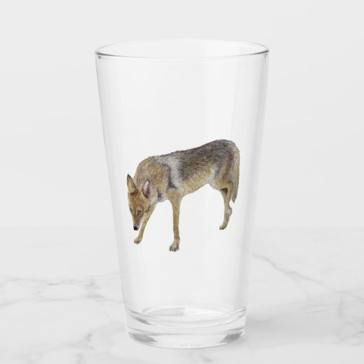 Coyote Glas (Vorderseite)