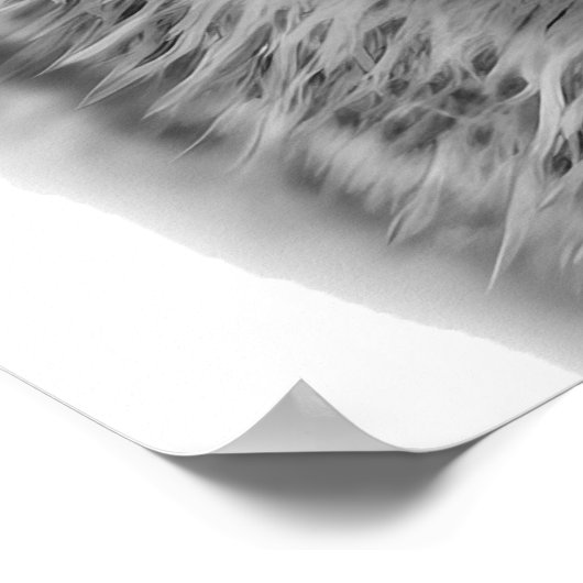 Coyote Head Portrait Art Schwarz-weiß Poster (Ecke)