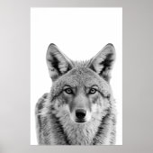 Coyote Head Portrait Art Schwarz-weiß Poster (Vorne)