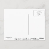 Coyote Howling am Blauen Mond Postkarte (Rückseite)