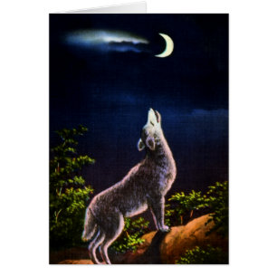 Coyote Howling am Mond