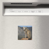 Coyote Howling von High Point Magnet (In Situ (Geschirrspüler))