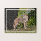 Coyote Hübsch Puzzle (Horizontal)