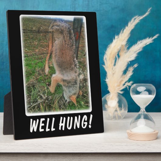 COYOTE HUNT - GUTE HUNG ÜBER ZENTRUM FOTOPLATTE (Seite)