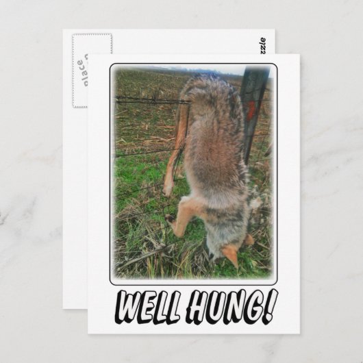 COYOTE HUNT - GUTE HUNG ÜBER ZENTRUM POSTKARTE (Vorne/Hinten)