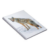 Coyote im Schnee Notizblock (Rechte Seite)