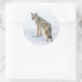 Coyote im Schnee Runder Aufkleber (Tasche)