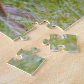 Coyote in field, Cades Cove Puzzle (Seite)