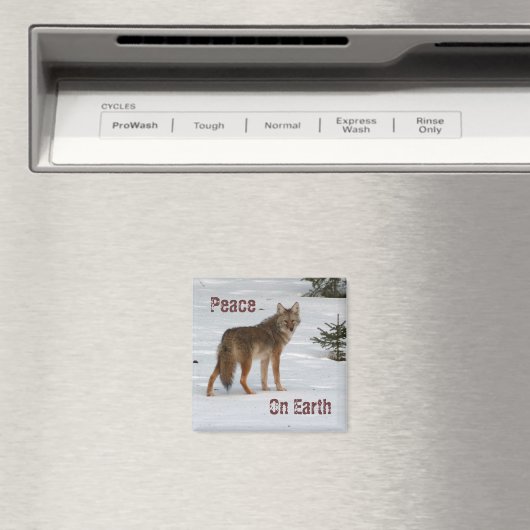 Coyote in Snow Magnet (In Situ (Geschirrspüler))