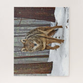 "Coyote in the Pines" Jigsaw Puzzle (Vertikal)