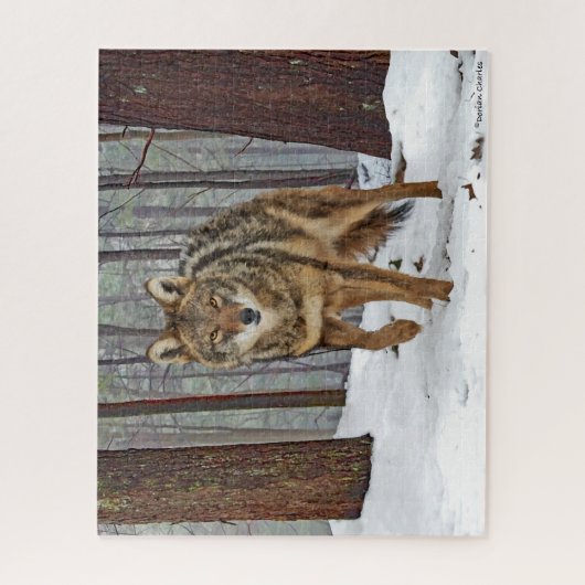 "Coyote in the Pines" Jigsaw Puzzle (Vertikal)