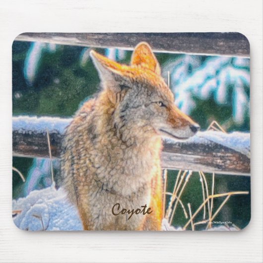 Coyote-Jagd bei Frauen im Schnee #Gift Mousepad (Vorne)