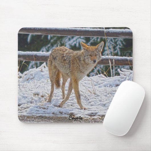 Coyote-Jagd bei Frauen im Schnee #Gift Mousepad (Mit Mouse)