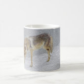 Coyote Kaffeetasse (Mittel)