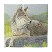 Coyote Keramik Tile Fliese (Vorderseite)