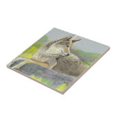 Coyote Keramik Tile Fliese (Seite)