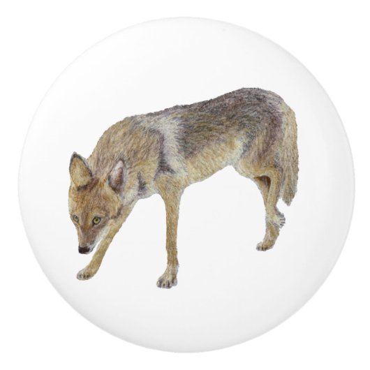 Coyote Keramikknauf (Vorderseite)