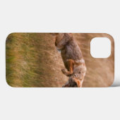 Coyote Leaping - Gibbon Meadows Case-Mate iPhone Hülle (Rückseite (Horizontal))