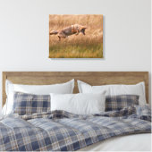 Coyote Leaping - Gibbon Meadows Leinwanddruck (Insitu (Schlafzimmer))