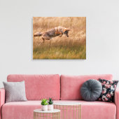Coyote Leaping - Gibbon Meadows Leinwanddruck (Insitu (Wohnzimmer))