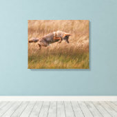 Coyote Leaping - Gibbon Meadows Leinwanddruck (Insitu (Holzboden))