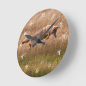 Coyote Leaping - Gibbon Meadows Runde Wanduhr (Winkel)