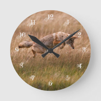 Coyote Leaping - Gibbon Meadows Runde Wanduhr