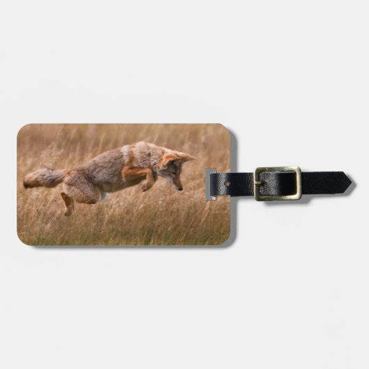 Coyote Leaping - Gibbon-Wiesen Gepäckanhänger (Vorderseite horizontal)