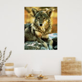 Coyote Lovers Geschenke Poster (Küche)
