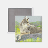 Coyote Magnet (Vorderseite/Rückseite)