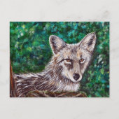 Coyote-Malerei im Hinterhof Postkarte (Vorderseite)