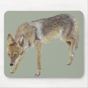 Coyote Mousepad