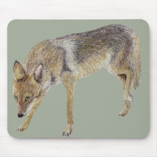 Coyote Mousepad (Vorne)