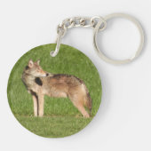Coyote nah schlüsselanhänger (Rückseite)