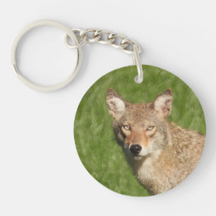 Coyote nah schlüsselanhänger