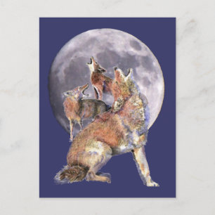 Coyote Pack Howling auf dem Mond Postkarte