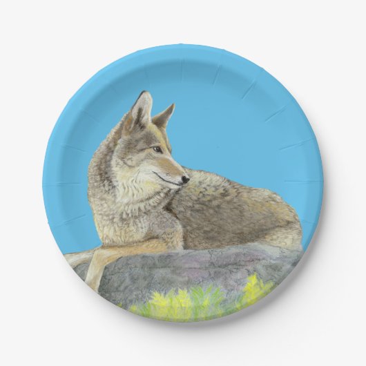 Coyote Pappteller (Vorderseite)