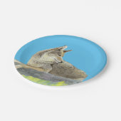 Coyote Pappteller (Schrägansicht)