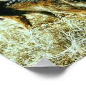 Coyote Poster (Ecke)