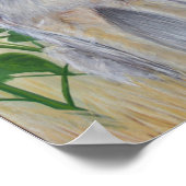 Coyote Poster (Ecke)