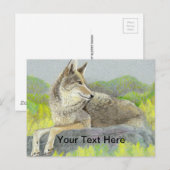 Coyote Postkarte (Vorne/Hinten)