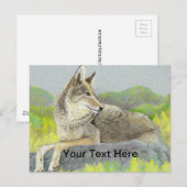 Coyote Postkarte (Vorne/Hinten)