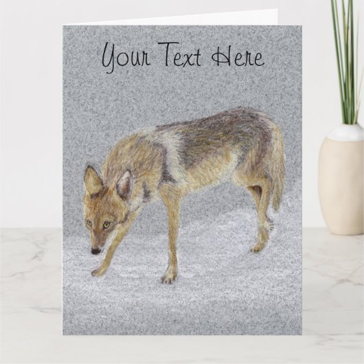 Coyote Postkarte (Vorderseite)