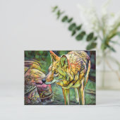 Coyote [Postkarte] Postkarte (Stehend Vorderseite)