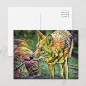 Coyote [Postkarte] Postkarte (Vorne/Hinten)