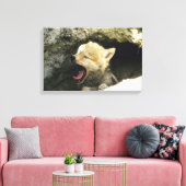 Coyote pup yawning leinwanddruck (Insitu (Wohnzimmer))