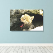 Coyote pup yawning leinwanddruck (Insitu (Holzboden))